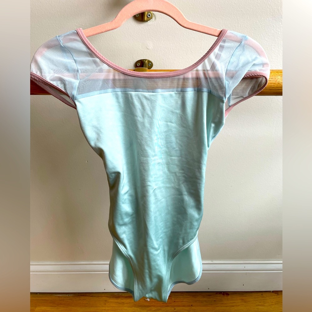 Blue Mesh Class In Leotard
